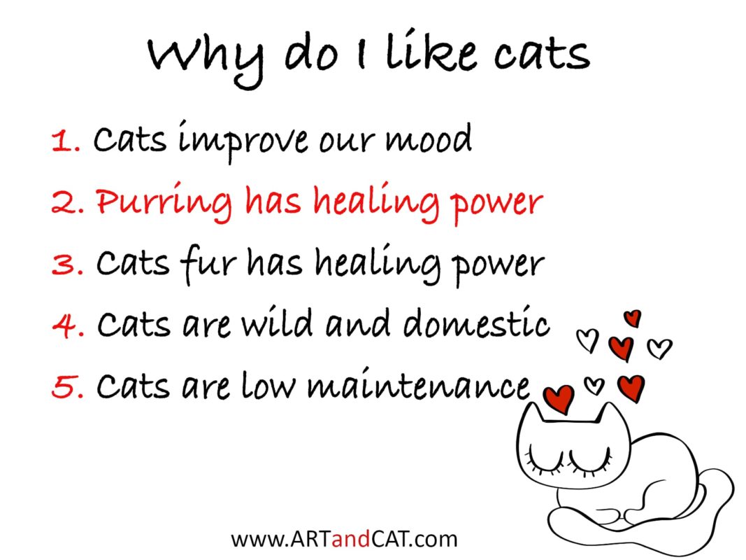 infographic why life with cat is better cat drawing with red hearts