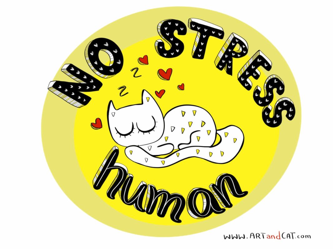 cat and lettering no stress human in yellow circle cute cat graphic