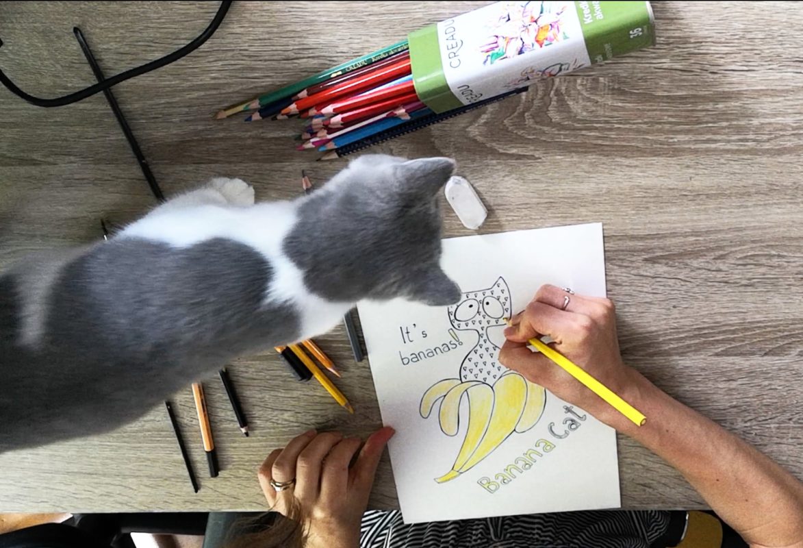rekodzielo handmade girl with cat in atelier drawing cat banana drawing