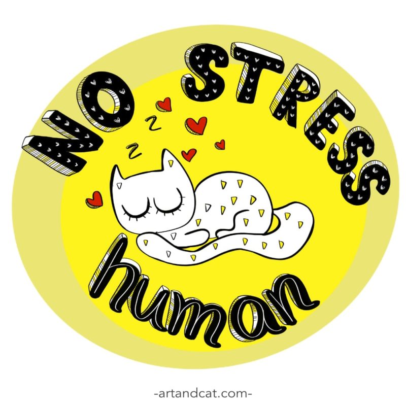 cat and lettering no stress human in yellow circle cute cat graphic digital artwork