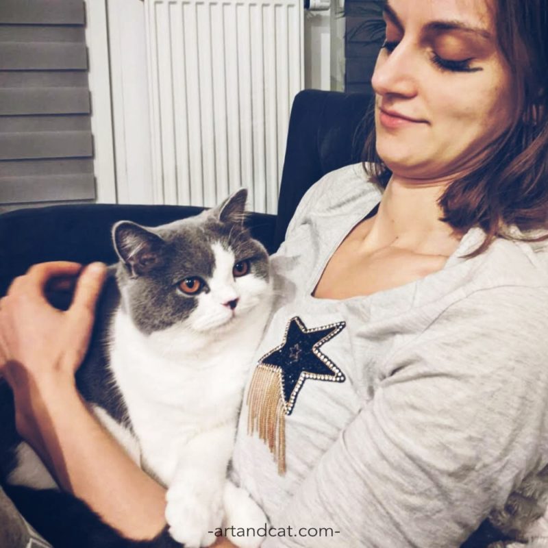 woman and british cat stay at home with your cat relax chiil out cats lovers hygge cat